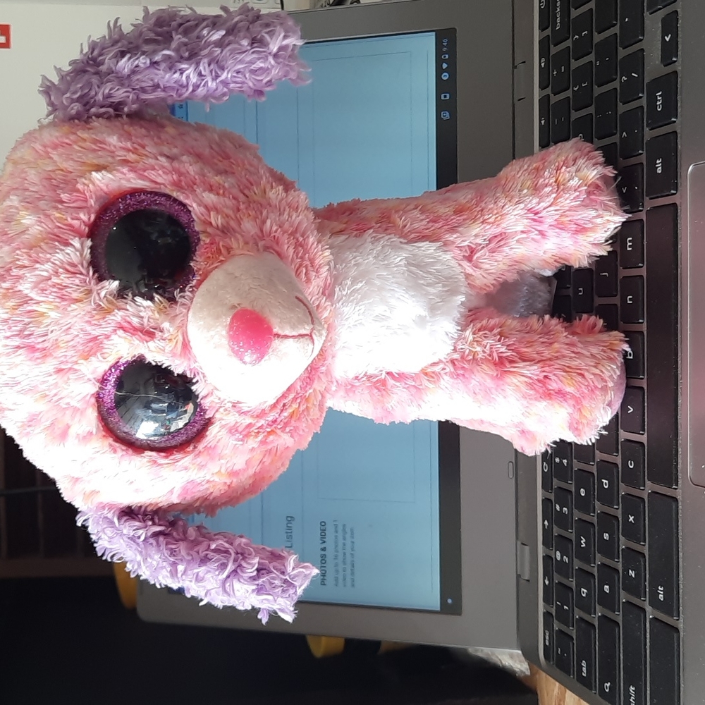 Ty beanie baby